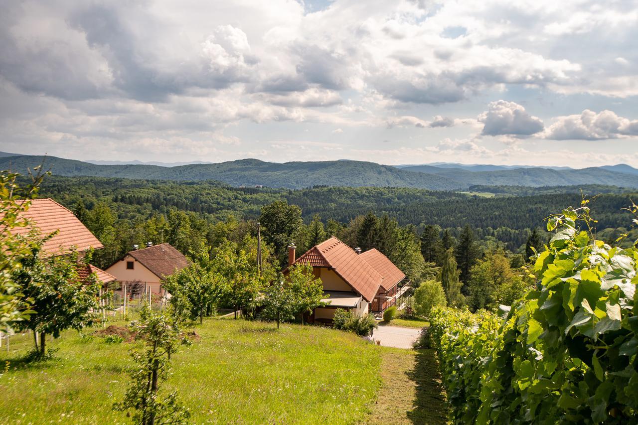 Vineyard Cottage Pod Piramido Dobrnic Exterior foto
